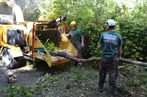 tree services Dillingham